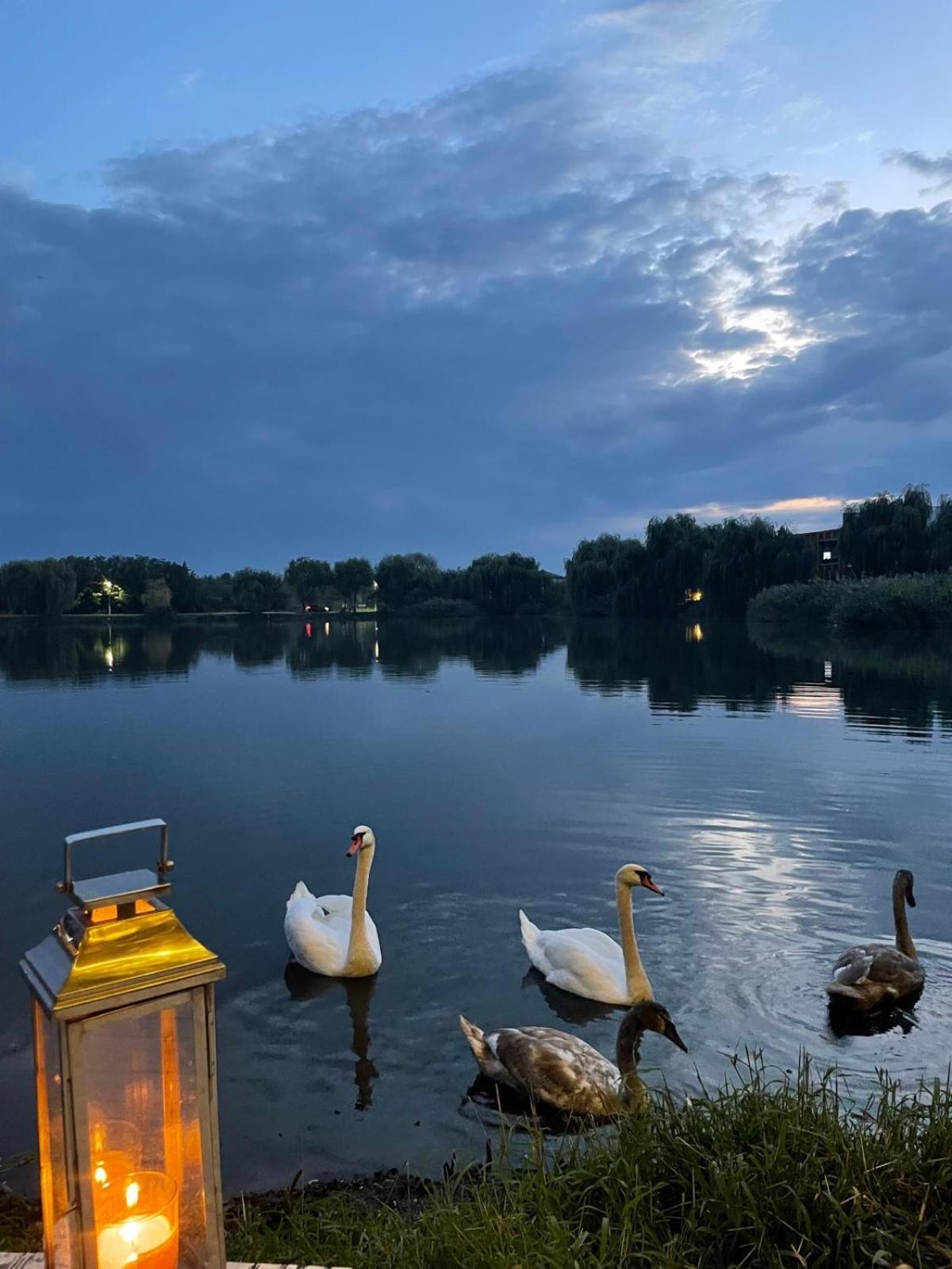 Therme - Corbeanca By The Lake Luxury Villa 外观 照片